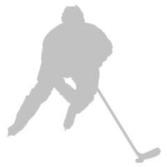 Hockey Zálezly